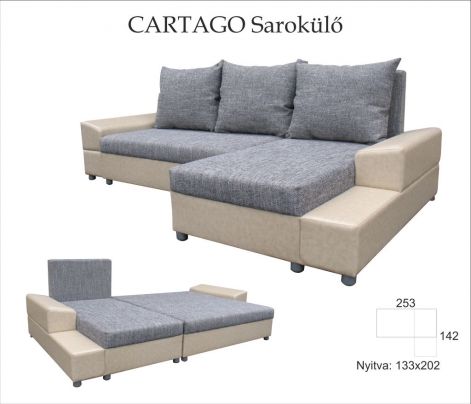 cartago_sarok_k.jpg